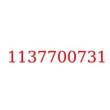 1137700731
