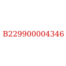 B229900004346