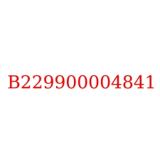 B229900004841