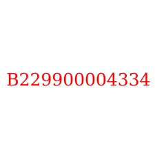 B229900004334