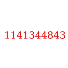 1141344843