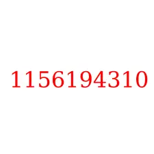 1156194310