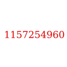 1157254960
