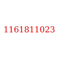 1161811023
