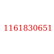 1161830651