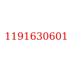 1191630601