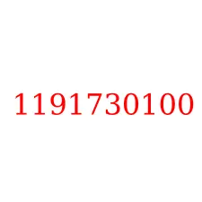 1191730100
