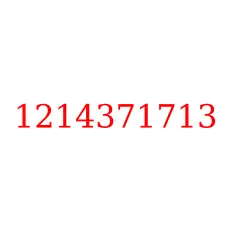 1214371713