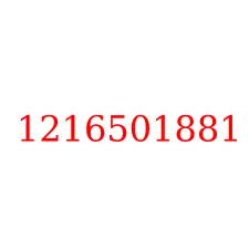 1216501881
