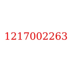 1217002263