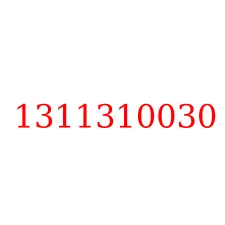 1311310030