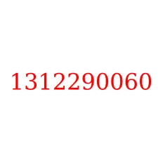 1312290060