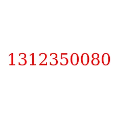 1312350080