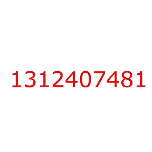 1312407481 Диск сцепления 6HE1, 1312407481