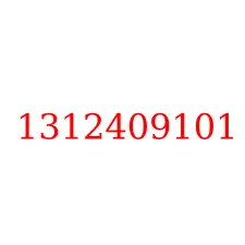 1312409101