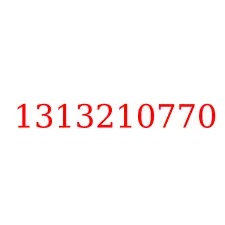 1313210770