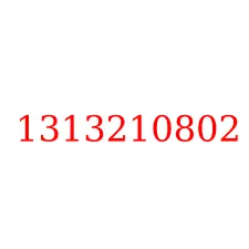 1313210802