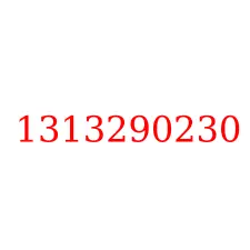 1313290230