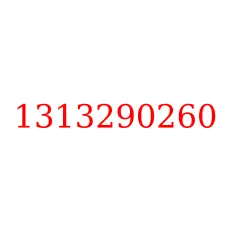 1313290260