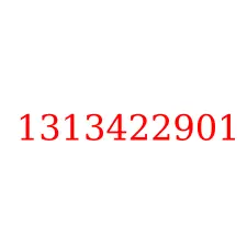 1313422901