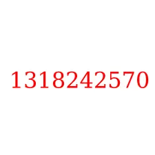 1318242570