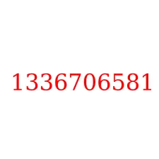 1336706581