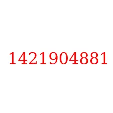 1421904881