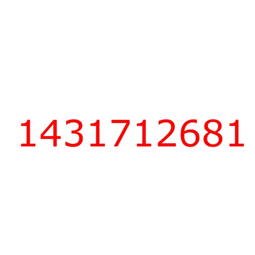 1431712681 шайба, 1431712681