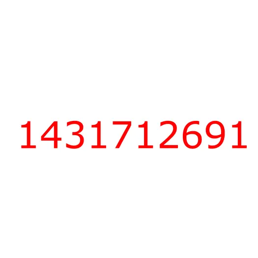 1431712691 шайба, 1431712691