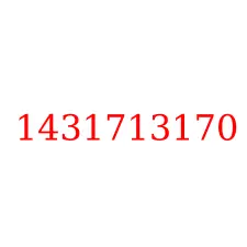1431713170