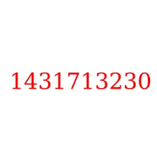 1431713230