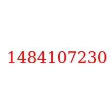 1484107230