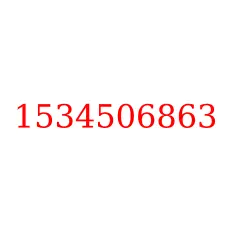 1534506863