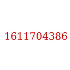 1611704386