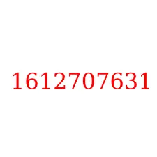 1612707631