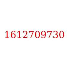 1612709730
