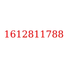 1612811788