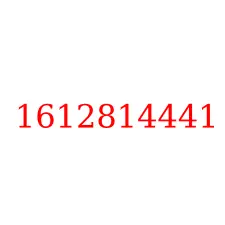 1612814441