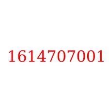 1614707001