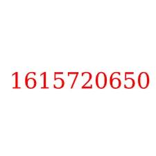 1615720650