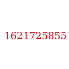 1621725855