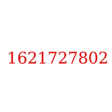 1621727802