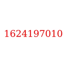 1624197010