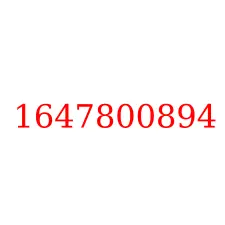 1647800894