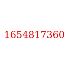 1654817360