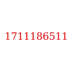 1711186511