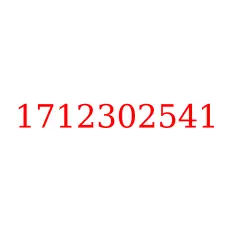 1712302541