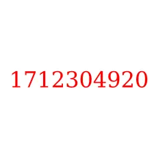 1712304920