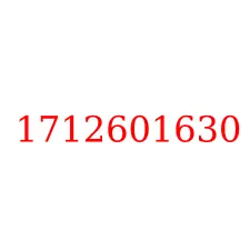 1712601630