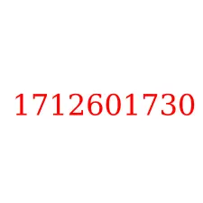 1712601730